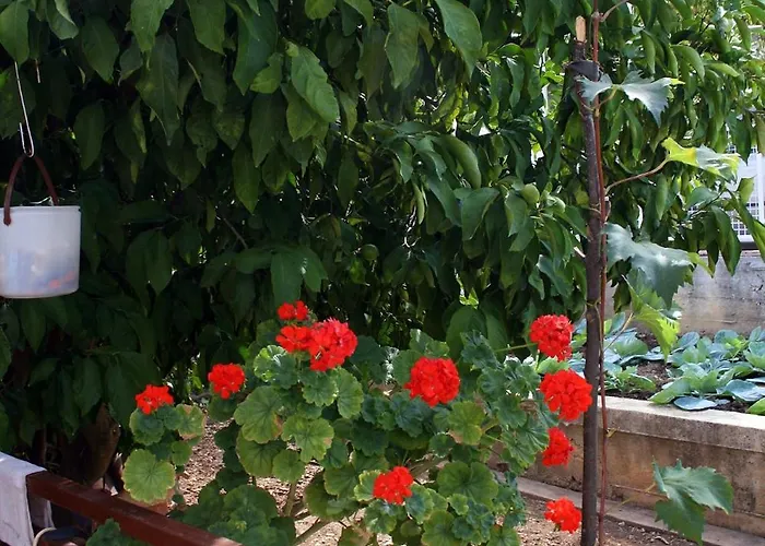 With Parking Space Slatine, Ciovo - 2030 *