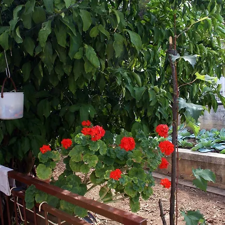 With Parking Space Slatine, Ciovo - 2030 *